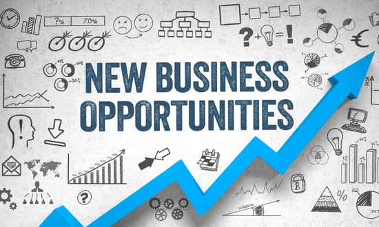 New Business Opportunites