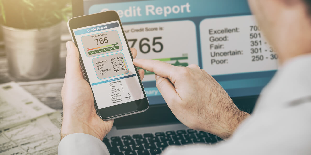 Bifurcation of Credit Score: Understanding the Two Main Components