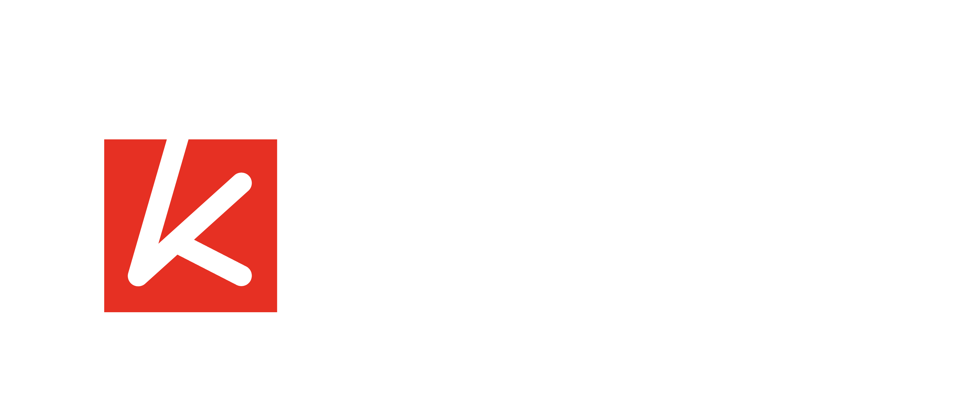 viva-vity-logo-white
