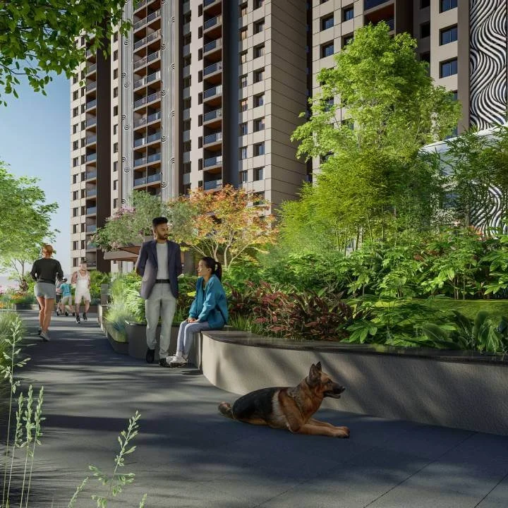 Amenities Image